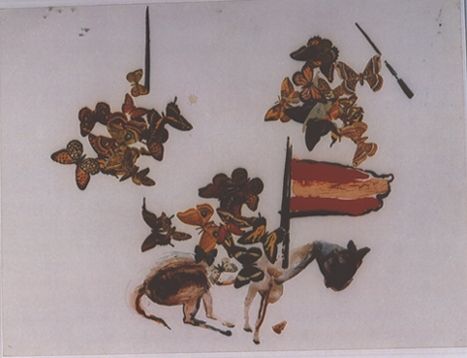 Cavaller de les papallones