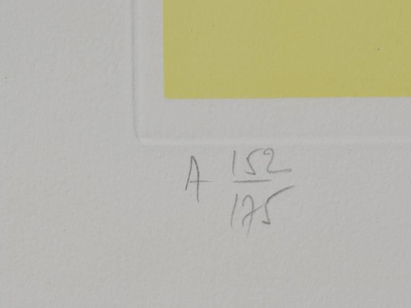 Caring for a Surrealistic watch