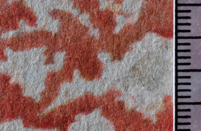 Le chevalier moyenâgeux