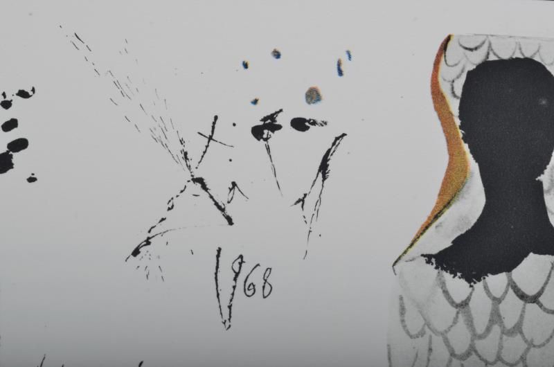 The Queen's croquet ground