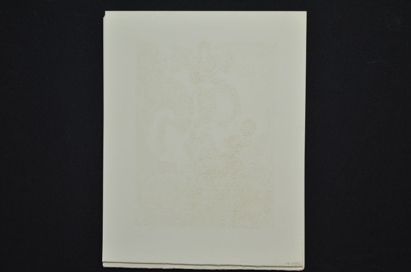 S/T (Le Premier ciel)