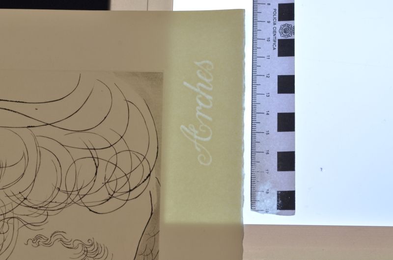 S/T  [Retrat: figura amb barba]