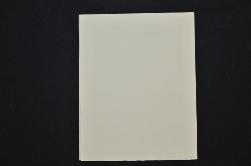 La Fôret des suicidés