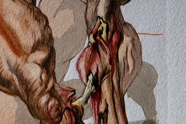 Les Avares et les Prodigues