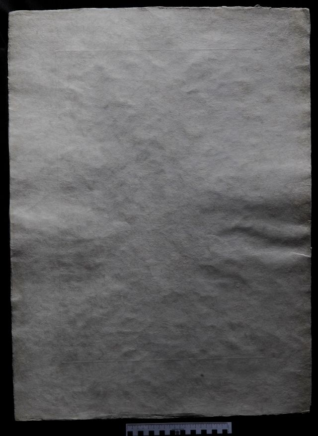 Rosa Papilio  (Rose)