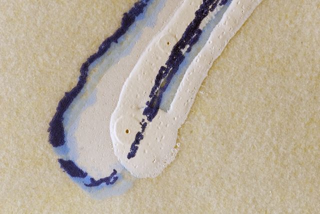 Le Creuset philosophal  (El Gresol filosofal)