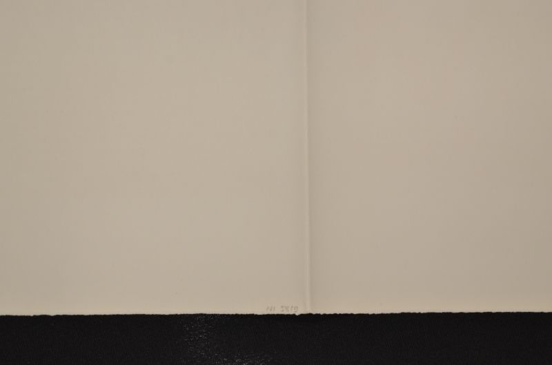 S/T [figura aixafada]