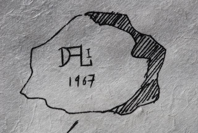 Chrysanthemum frutescens ( Marguerite )