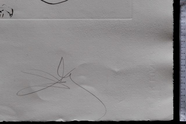 Le caducée de Marsalimenté par la boule de feu de Jupiter