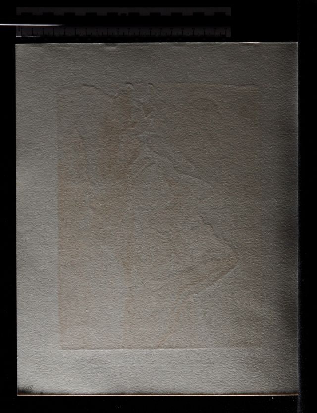 Le nouveau doute de Dante