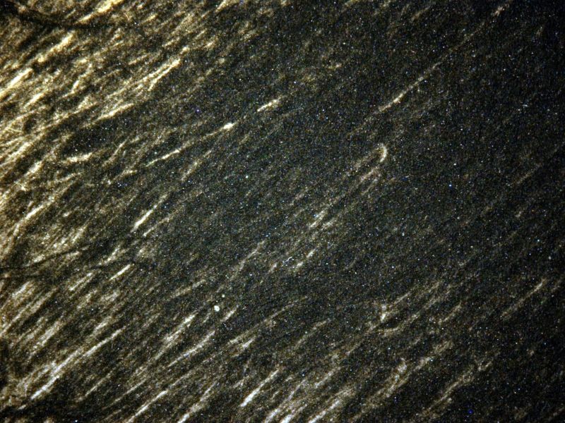 Menu du banquet de la Société du Roman Philosophique