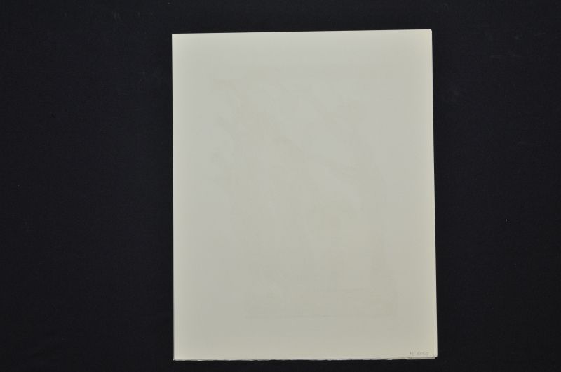 La Fôret des suicidés