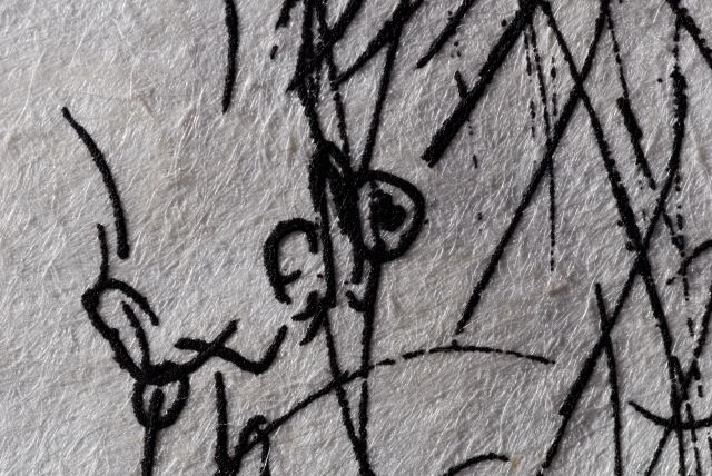 Rosa Papilio  (Rose)