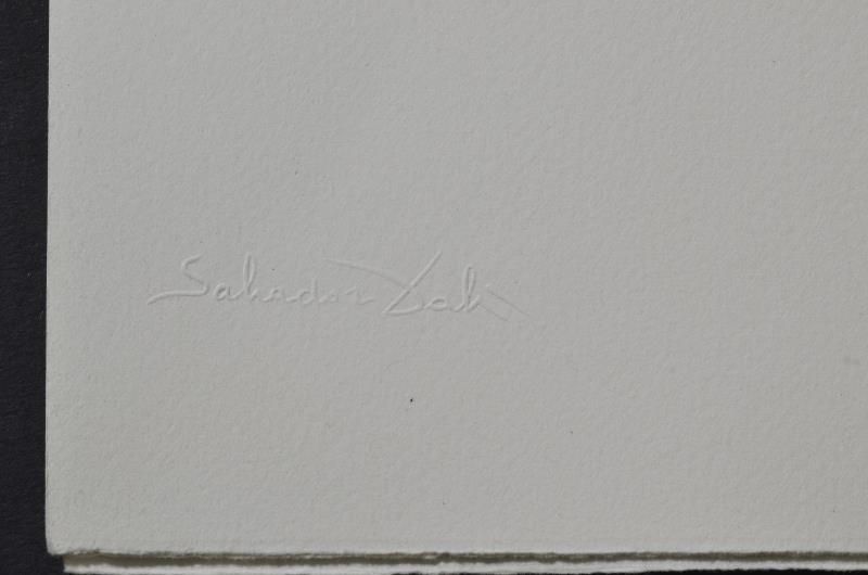 Crazy, crazy, crazy, Minerva