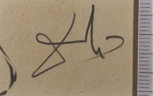 Anamorphoses des Anamorphoses et tout est hologrammophose