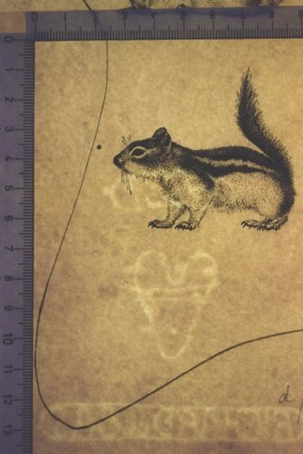 L'homme rescuscité par l'holographie de l'écureuil