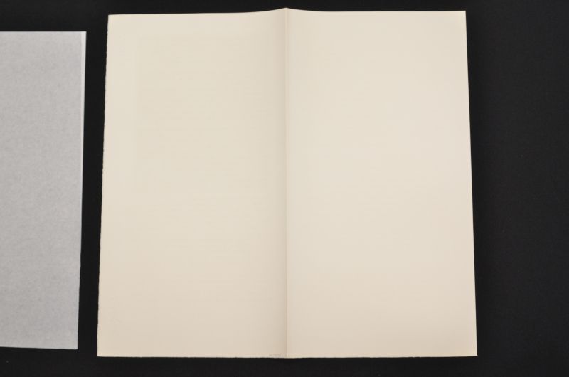 S/T  [Retrat: figura amb barba]