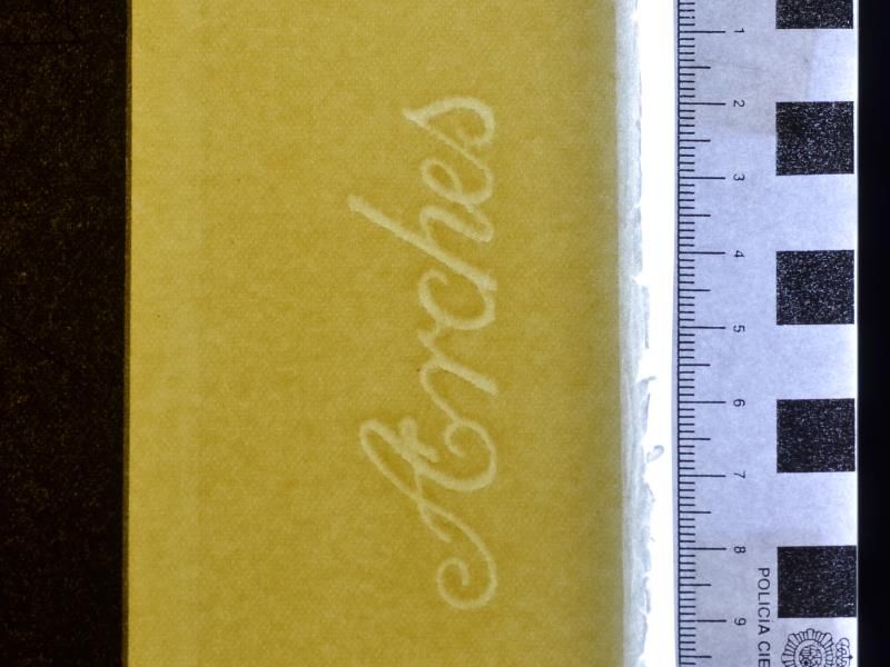 Crazy, crazy, crazy, Minerva