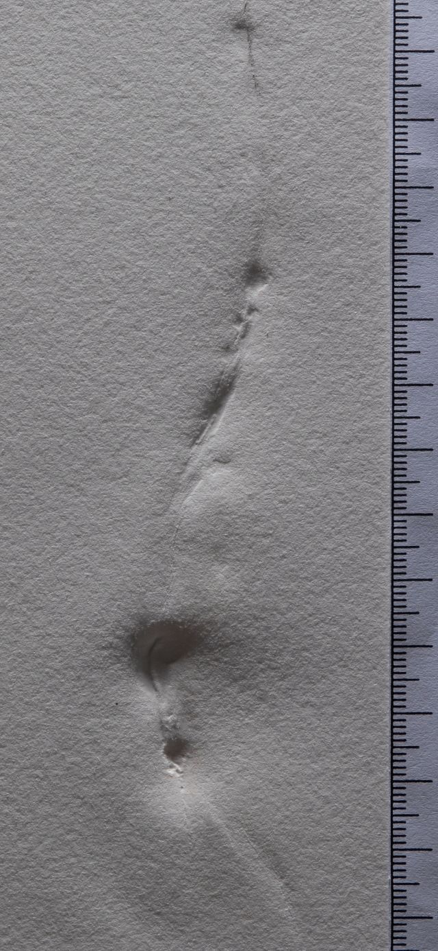 Philosophe écrasé par le cosmos