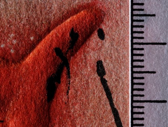 Le chevalier moyenâgeux