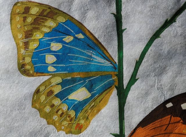 Rosa Papilio  (Rose)