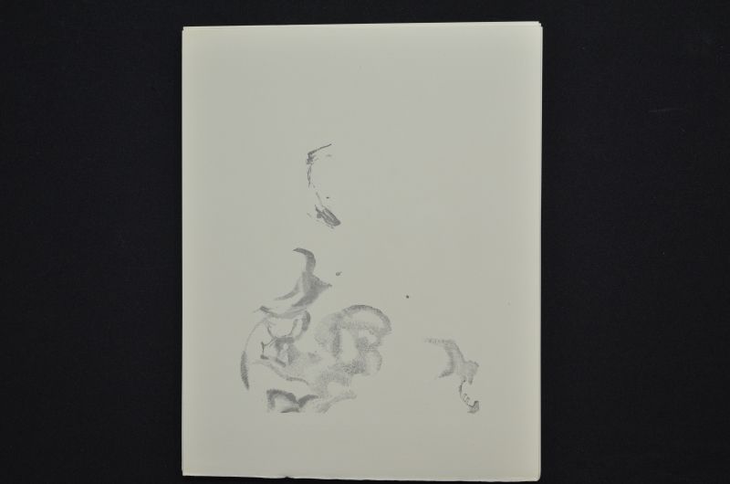 S/T (Le Premier ciel)