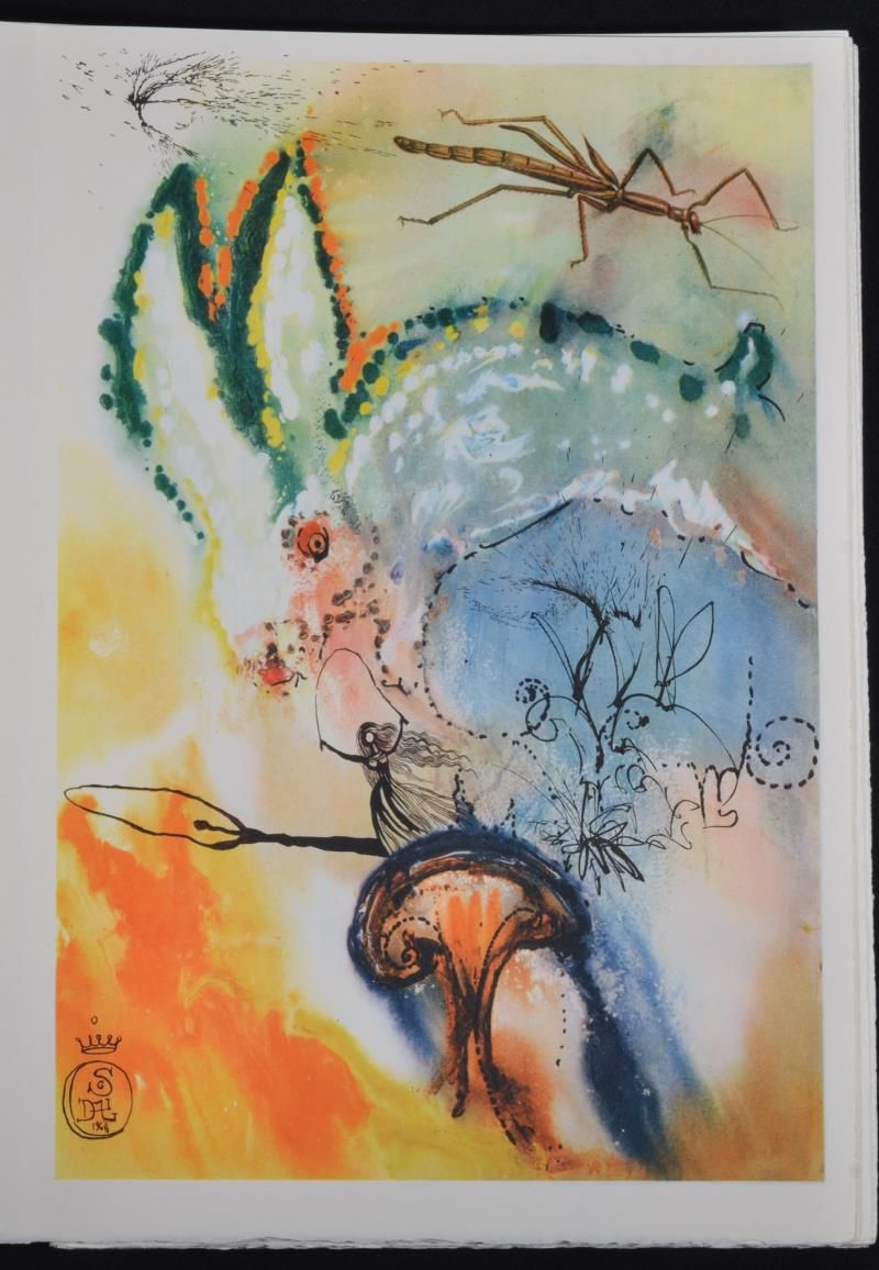 Down the rabbit hole