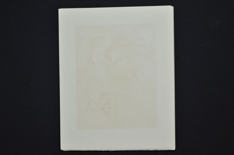 Le Language de l'oiseau