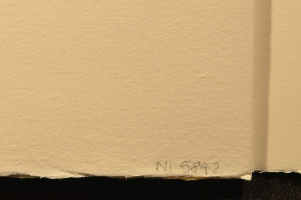 The Queen's croquet ground