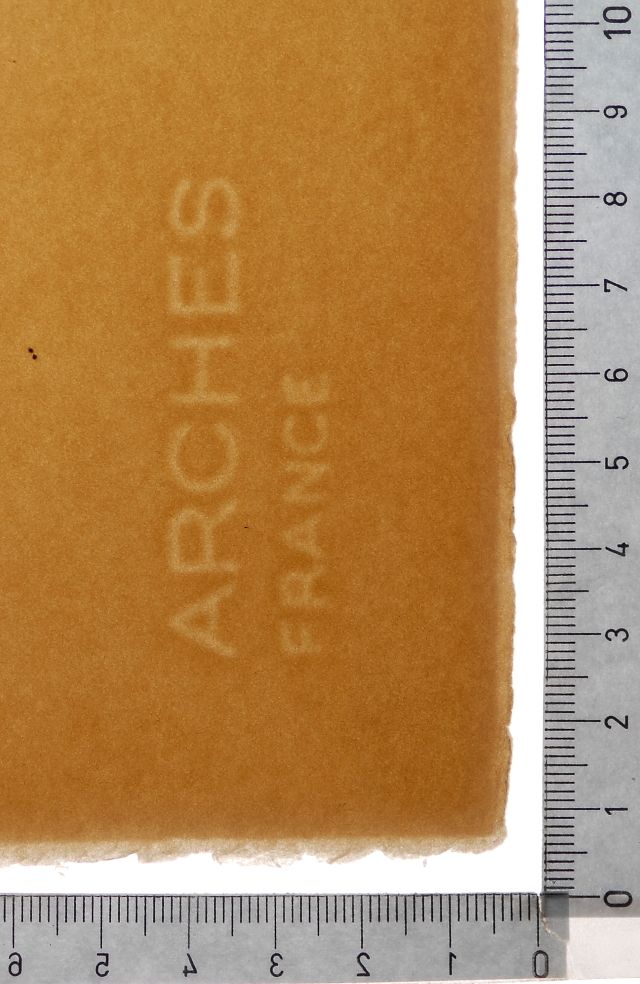 Le cercle viscéral du cosmos