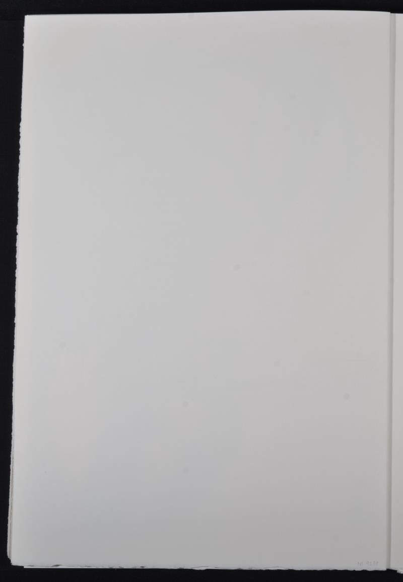 Down the rabbit hole