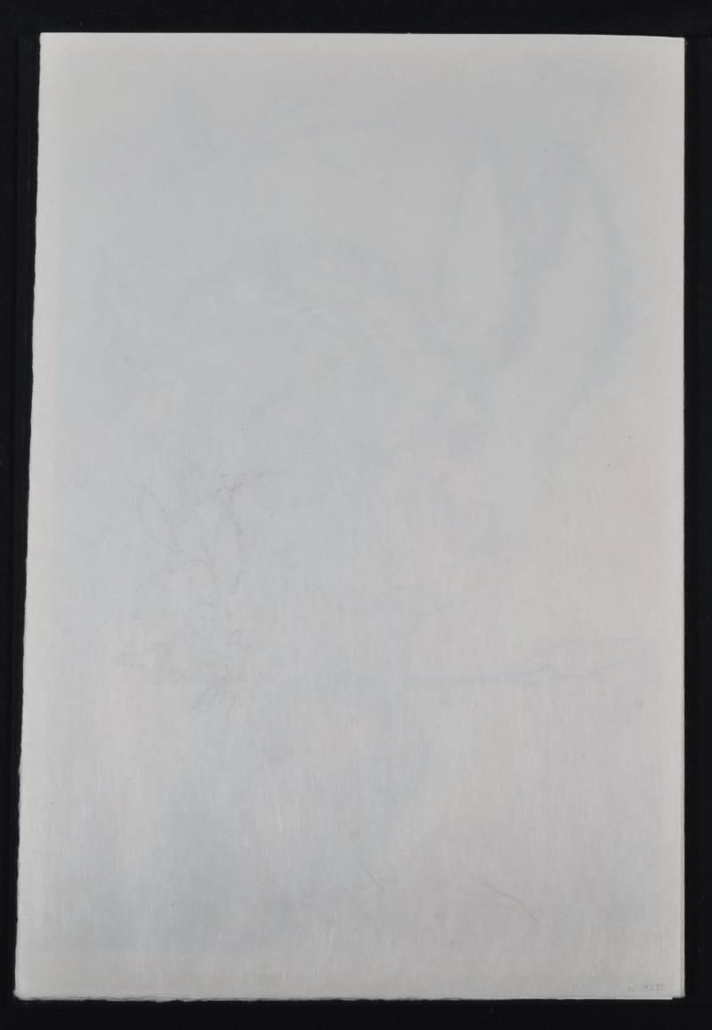 (Suite) Down the rabbit hole