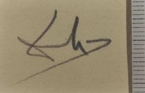 L'immortalité de Castor et Polux