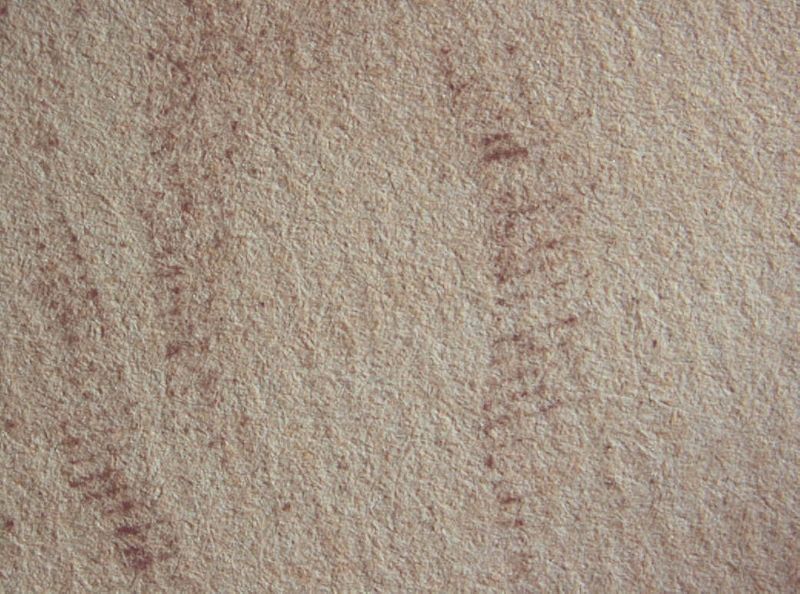 La Madona de Portlligat