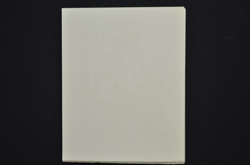 S/T (Le Premier ciel)