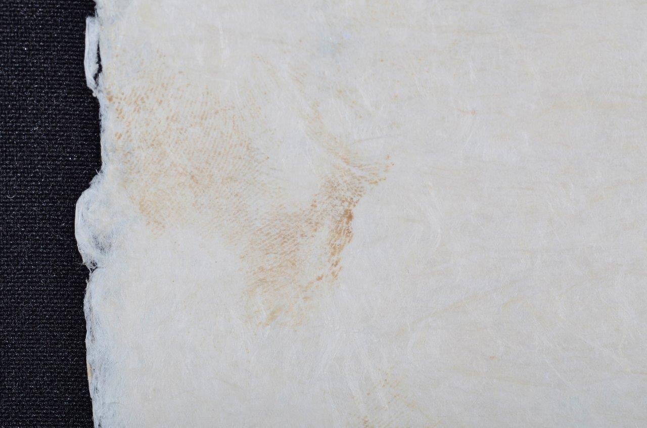 Sainte Trinité sainte persistance de la mémoire