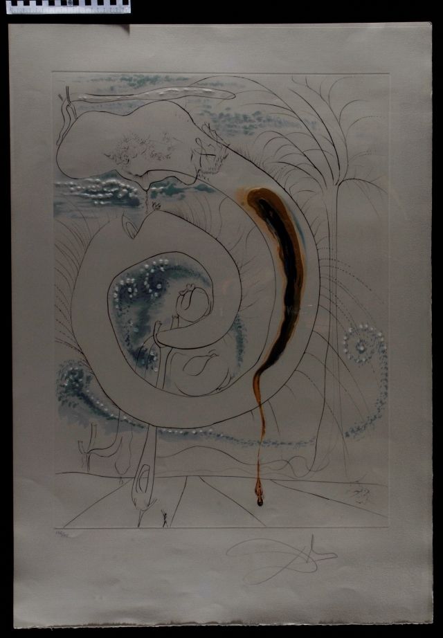 Le cercle viscéral du cosmos