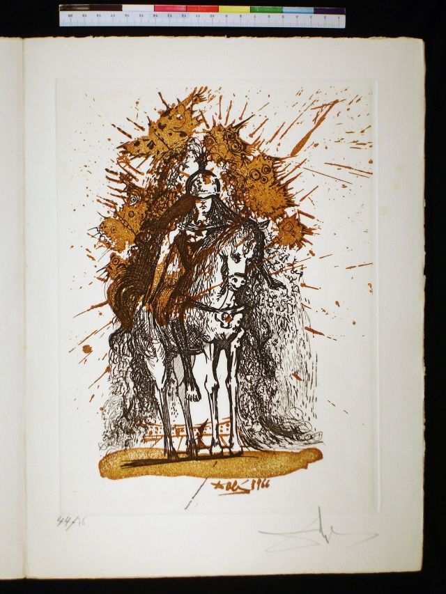 Caballero con casco y mariposas