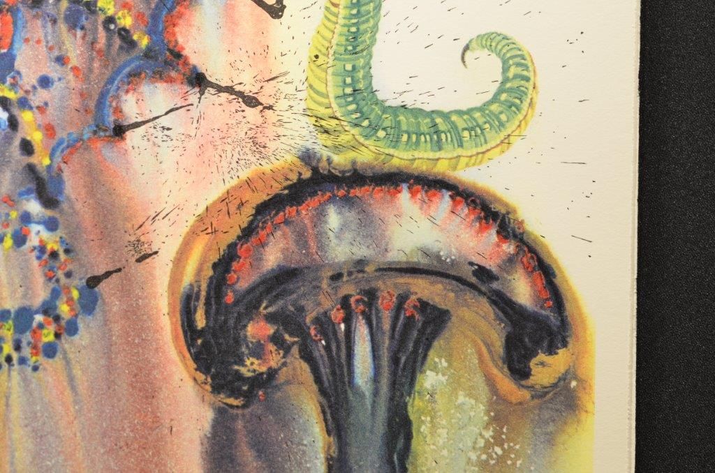 Advice from a caterpillar