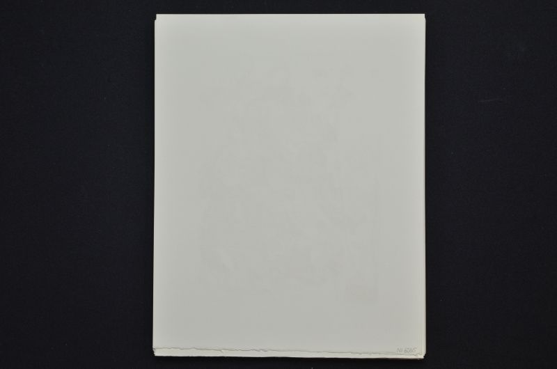 S/T (Saint Jacques et l'Espérance)