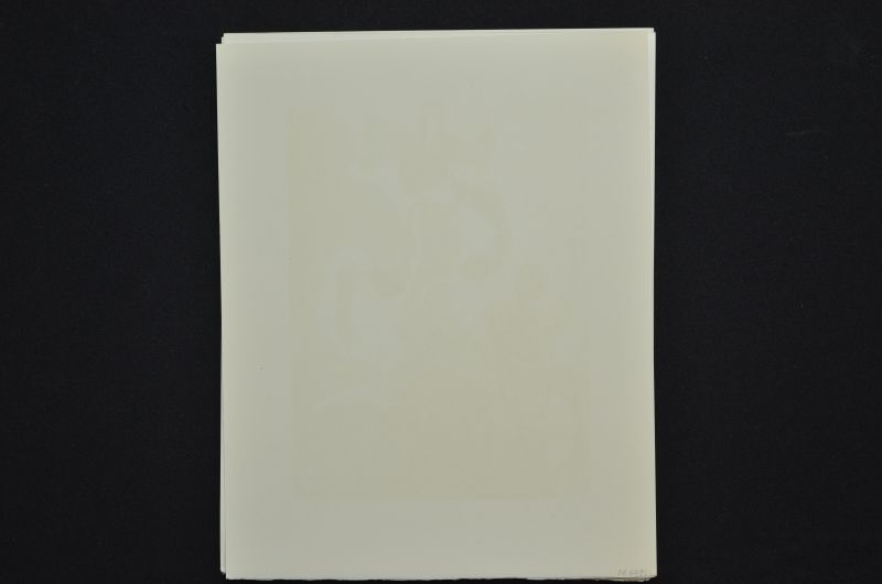 S/T (Le Premier ciel)