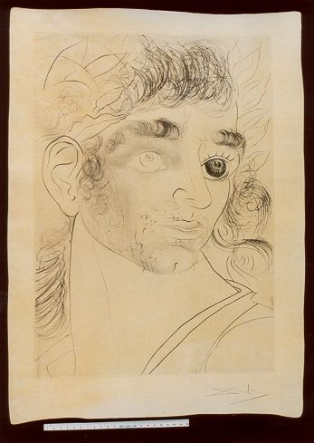 Comment sont ses yeux ? Tiens, un bleu et un noir - Alexandre de Macédoine