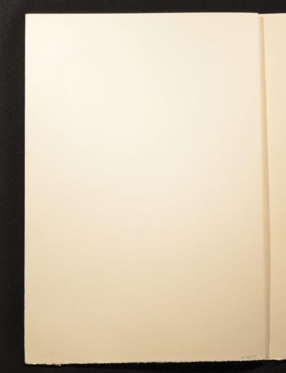 A caucus race and a long tale