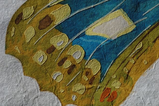 Rosa Papilio  (Rose)