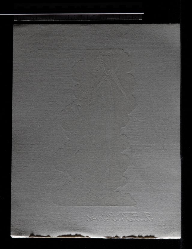 L'ange du 7ème ciel