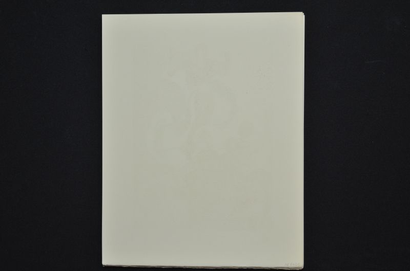 S/T (Le Premier ciel)