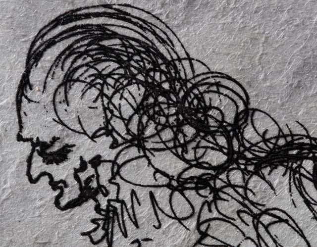 Lilium musicum (Lys)