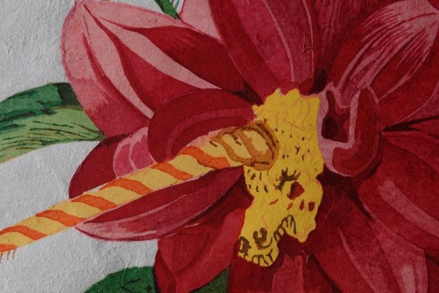 Dahlia Unicornis (Dahlia)