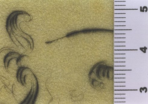 Darlus jura qu'il pendrait Alexandre qui servirait de pâture aux oiseaux