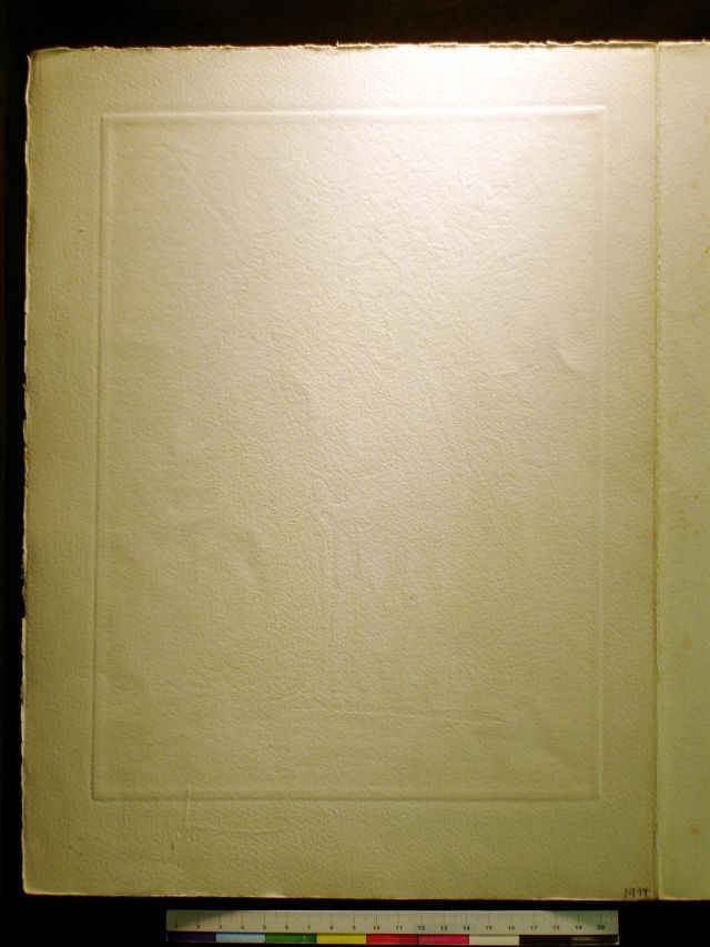 Caballero con casco y mariposas